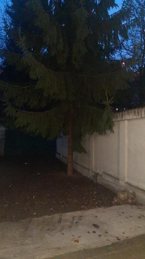 Casa Sorina Βίλα Μπρασόβ Εξωτερικό φωτογραφία